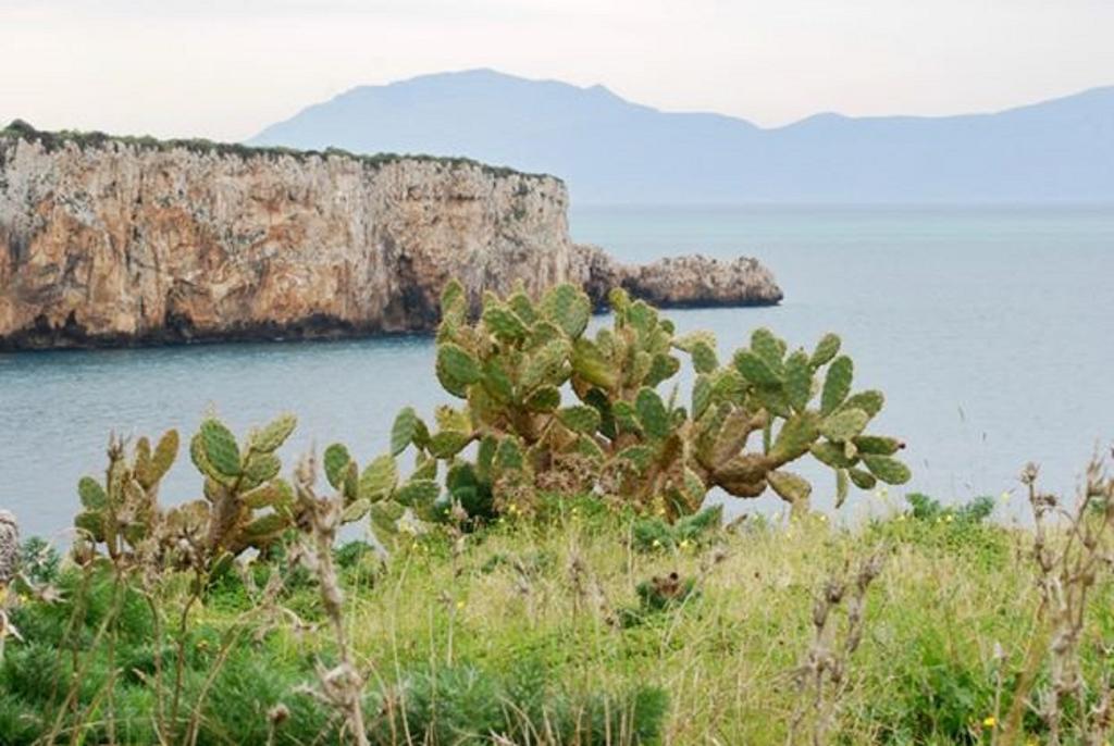 Bed & Breakfast I Faraglioni